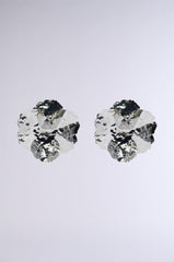 PICTURE PERFECT EARRING