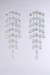 IM EXPENSIVE EARRING