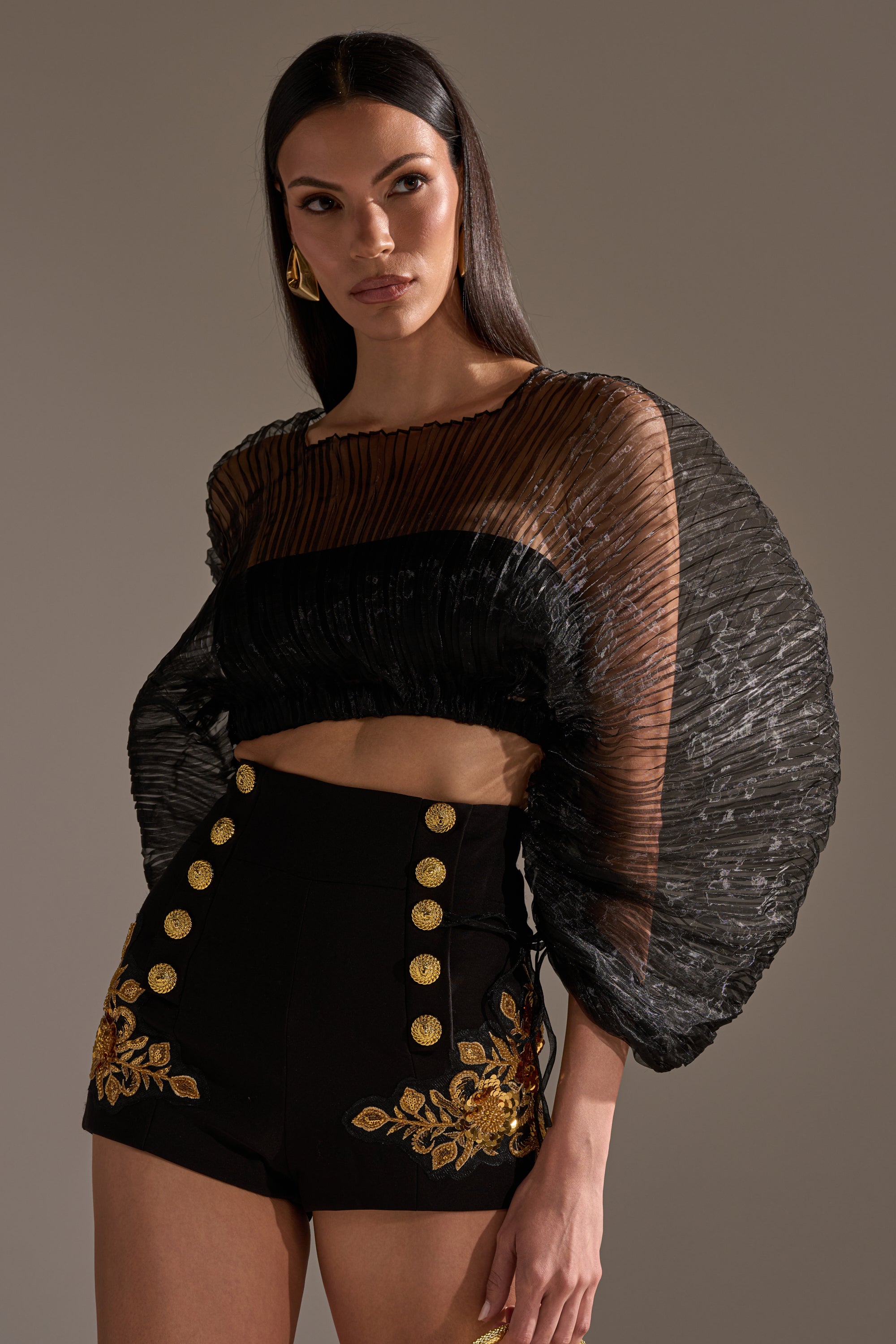 FORTUNES FAVORITE SHEER LONG SLEEVE CROP TOP