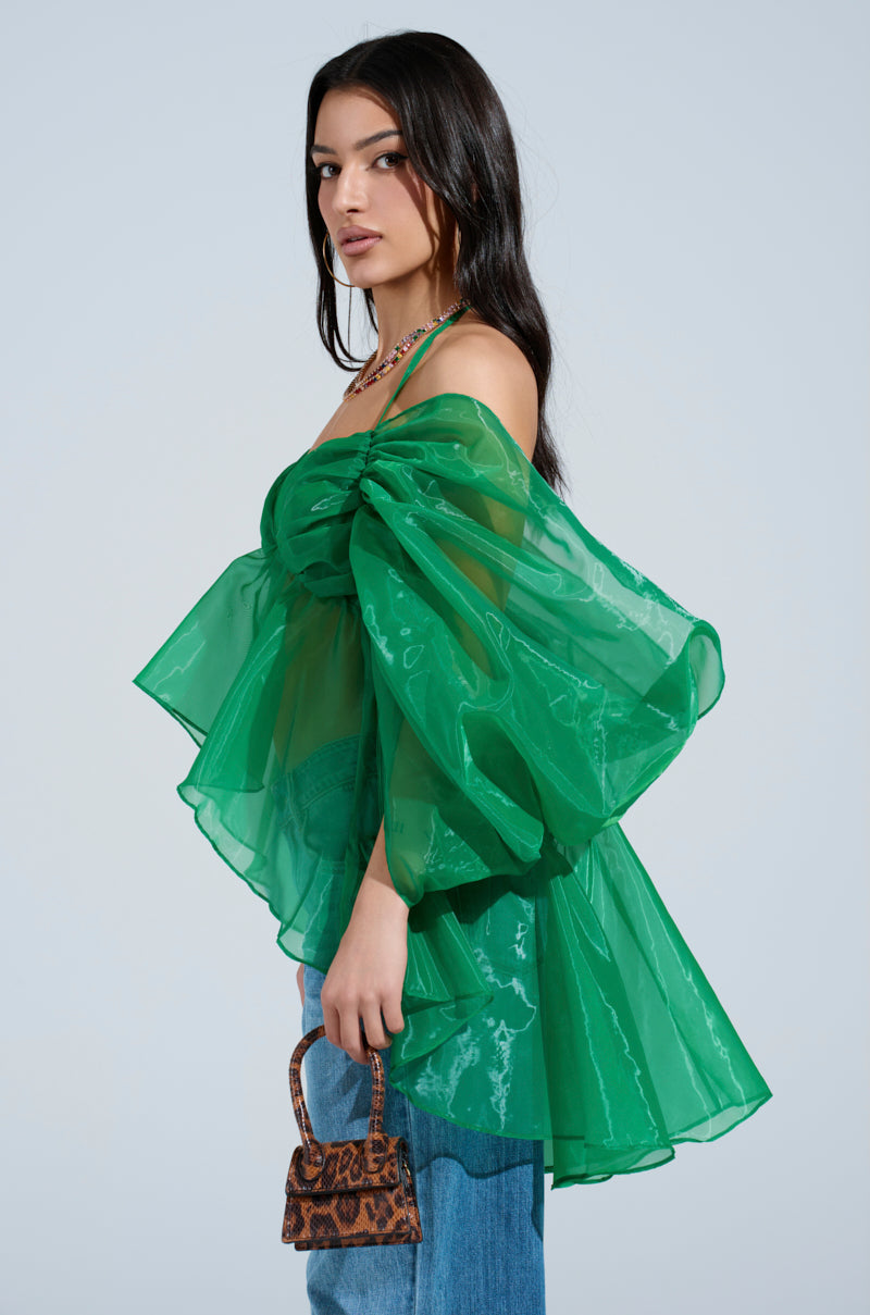 AN ELEGANT EVENING ORGANZA BLOUSE